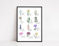 Coloured Personalised Family/Friends Birth Flower Print