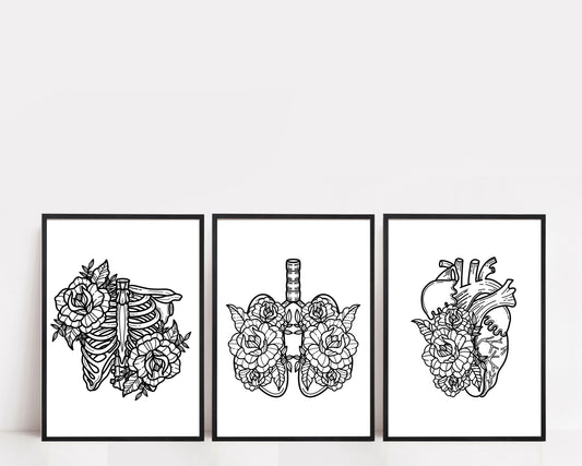 Floral Anatomy Print (Individual Print)