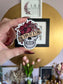 One Day At A Time Skull Magnet