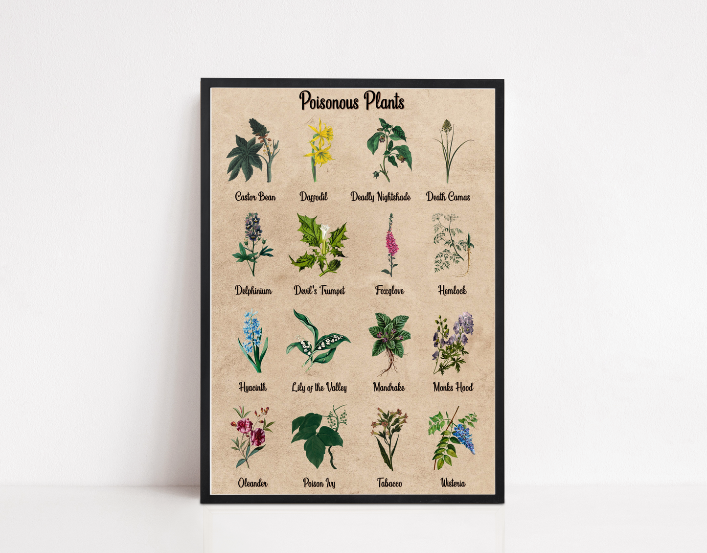 Poisonous Plants Print