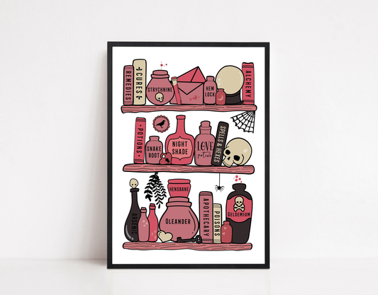 Pink Potion Shelf Print