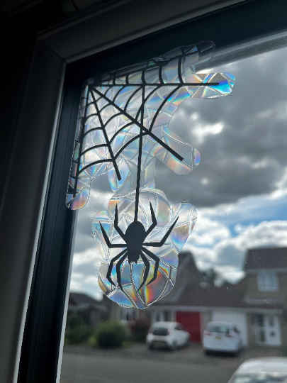 Spider Web Suncatcher