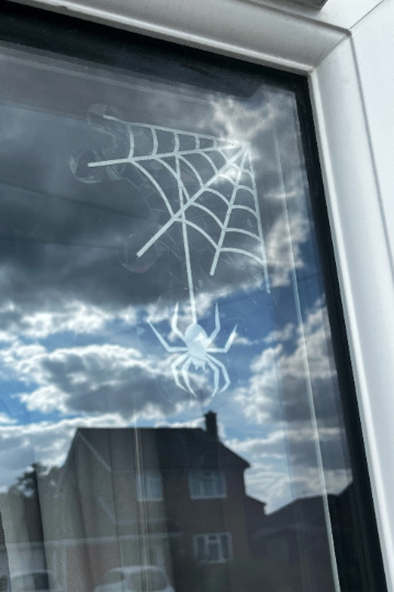 Spider Web Suncatcher