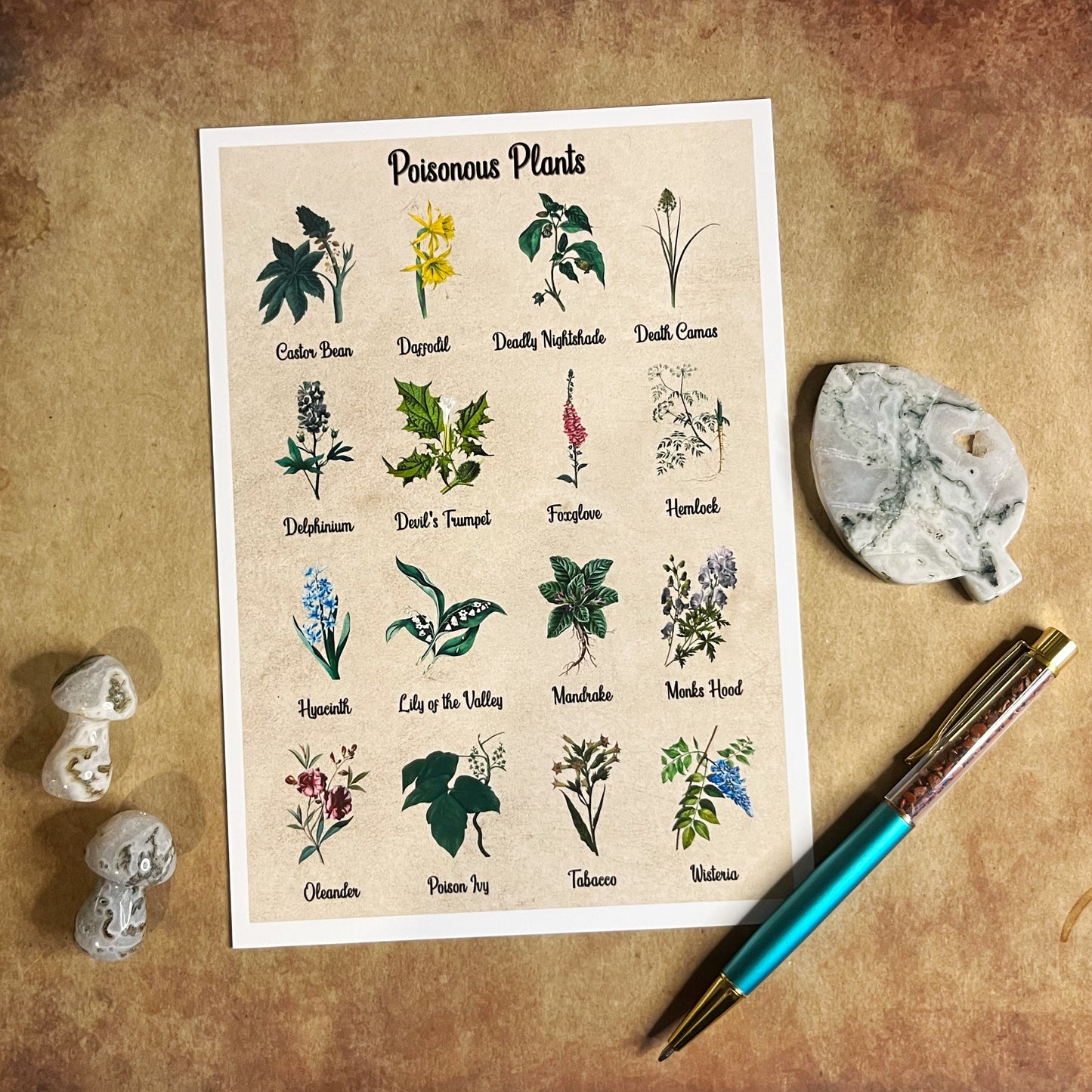 Poisonous Plants Print