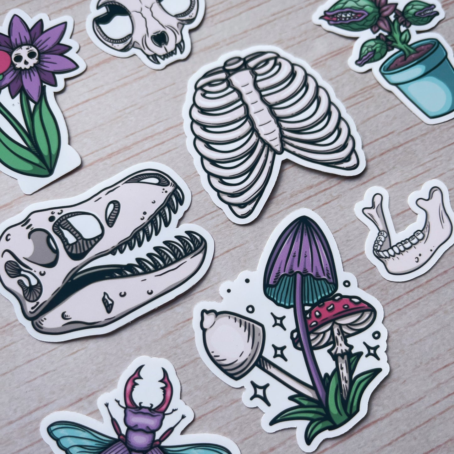 Natural Oddities Sticker Pack