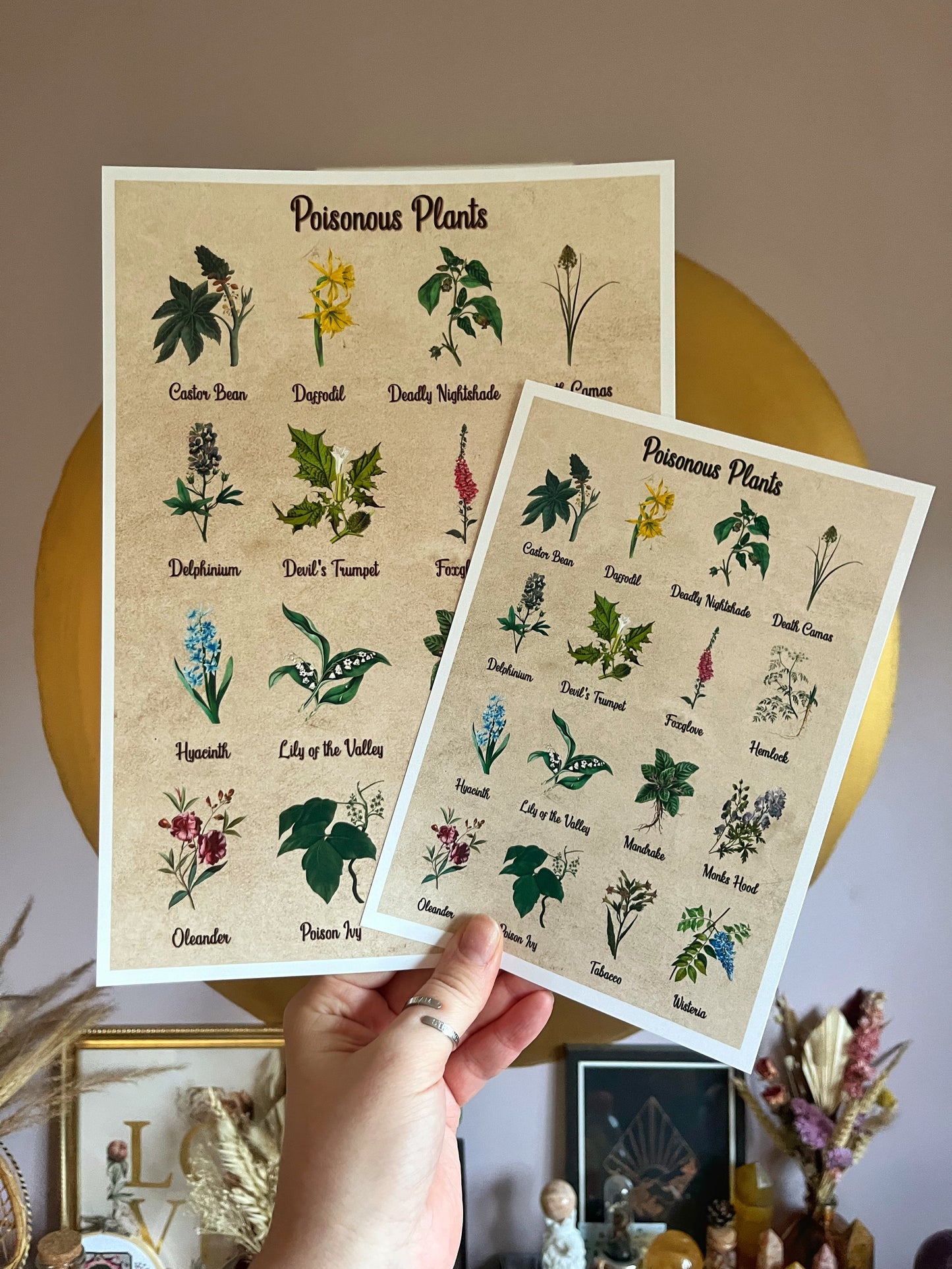 Poisonous Plants Print