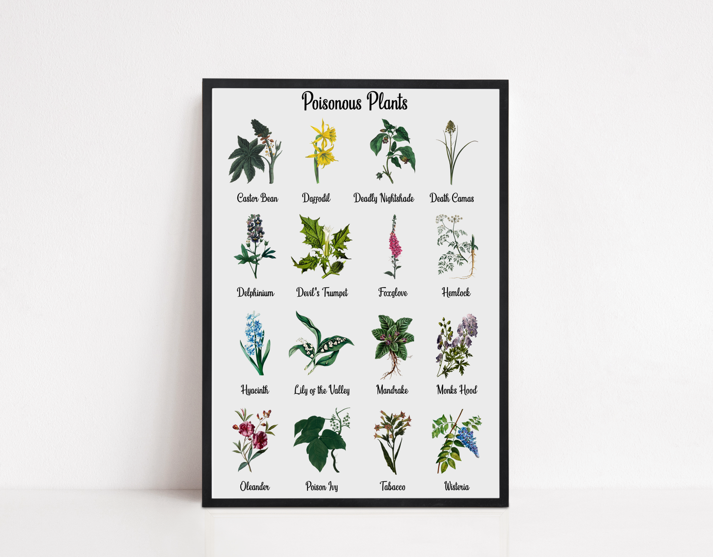 Poisonous Plants Print